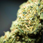 Acheter de la fleur THCP sur Green Kartel : Guide d'achat essentiel - Green Kartel : Site d'achat de CBD en France, Vente de CBD haut de gamme