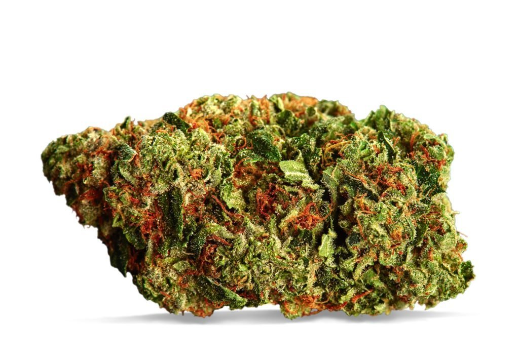 elfbar nachfüll pod läuft aus Amnesia Haze CBD : Guide Complet 2026