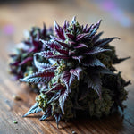 Blue Dream : La Légende Cannabique Californienne