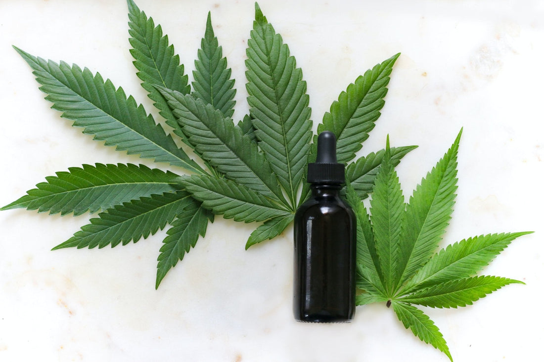 CBD et sclérose en plaques - Green Kartel : Site d'achat de CBD en France, Vente de CBD haut de gamme