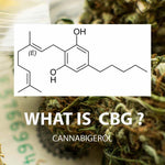 C’est quoi le CBG ? - Green Kartel : Site d'achat de CBD en France, Vente de CBD haut de gamme