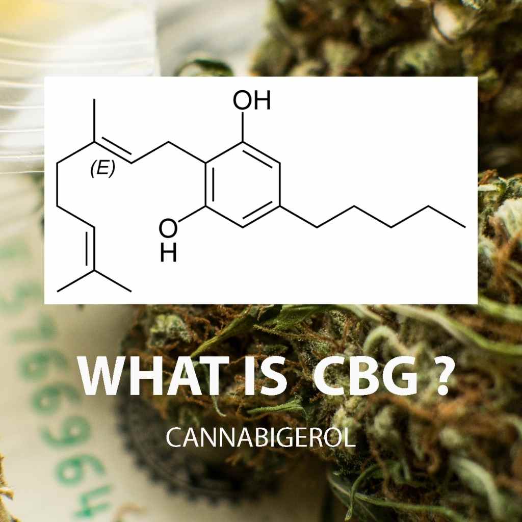 C’est quoi le CBG ? - Green Kartel : Site d'achat de CBD en France, Vente de CBD haut de gamme