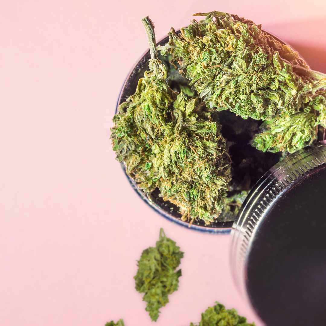 Conseils pour choisir la bonne fleur de CBD - Green Kartel : Site d'achat de CBD en France, Vente de CBD haut de gamme