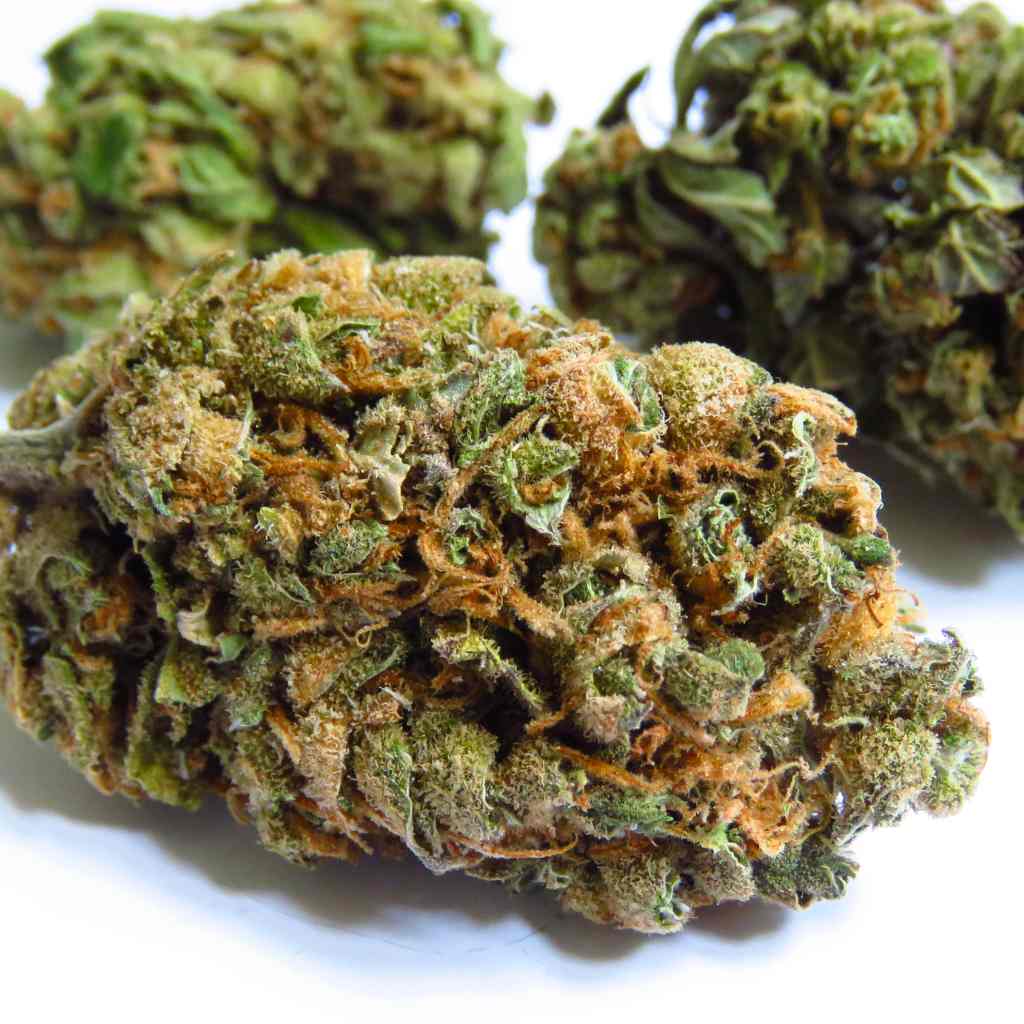 Conseils pour choisir la bonne fleur de H4CBD - Green Kartel : Site d'achat de CBD en France, Vente de CBD haut de gamme