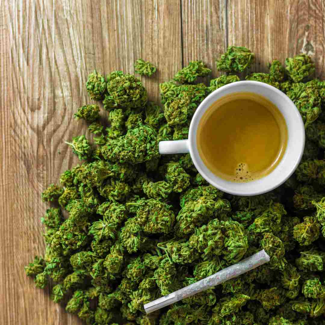 Découvrez les avantages des fleurs de CBD - Green Kartel : Site d'achat de CBD en France, Vente de CBD haut de gamme