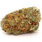 La variété Girl Scout Cookies : effets et propriétés - Green Kartel : Site d'achat de CBD en France, Vente de CBD haut de gamme