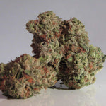 Le cannabis Super Silver Haze : un choix de qualité - Green Kartel : Site d'achat de CBD en France, Vente de CBD haut de gamme