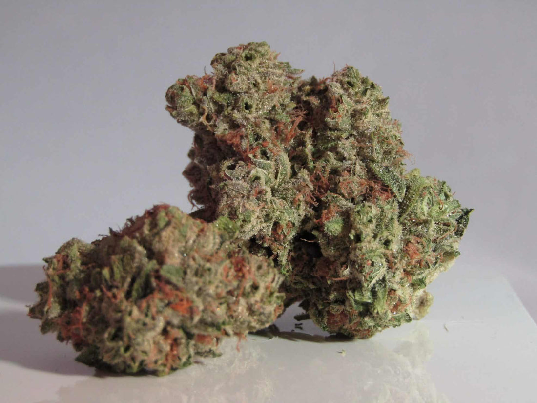 Le cannabis Super Silver Haze : un choix de qualité - Green Kartel : Site d'achat de CBD en France, Vente de CBD haut de gamme