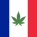 Le CBD est désormais légal en France : décision du Conseil d'État - Green Kartel : Site d'achat de CBD en France, Vente de CBD haut de gamme