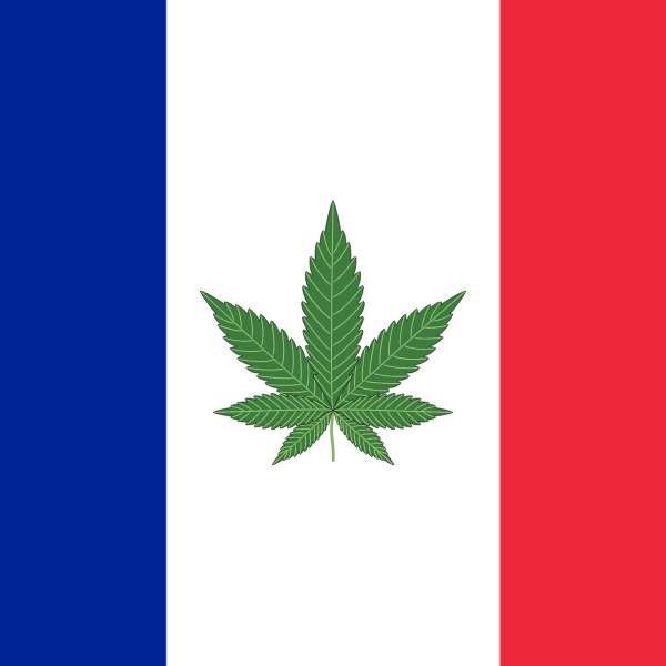 Le CBD est désormais légal en France : décision du Conseil d'État - Green Kartel  : Site d'achat de CBD en France, Vente de CBD haut de gamme