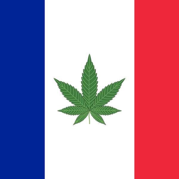 Le CBD est désormais légal en France : décision du Conseil d'État - Green Kartel  : Site d'achat de CBD en France, Vente de CBD haut de gamme