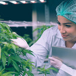 Le CBD et ses vertus thérapeutiques : Quelles maladies peut-il soigner ? - Green Kartel : Site d'achat de CBD en France, Vente de CBD haut de gamme