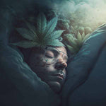 Le CBD pour améliorer votre sommeil - Green Kartel : Site d'achat de CBD en France, Vente de CBD haut de gamme