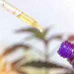 Le système endocannabinoïde expliqué - Green Kartel : Site d'achat de CBD en France, Vente de CBD haut de gamme
