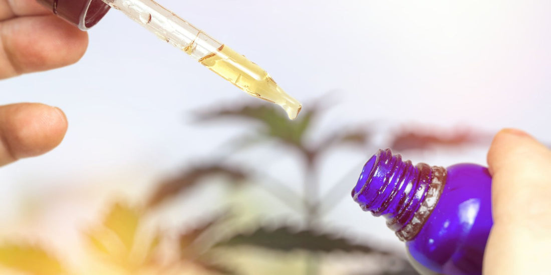 Le système endocannabinoïde expliqué - Green Kartel : Site d'achat de CBD en France, Vente de CBD haut de gamme