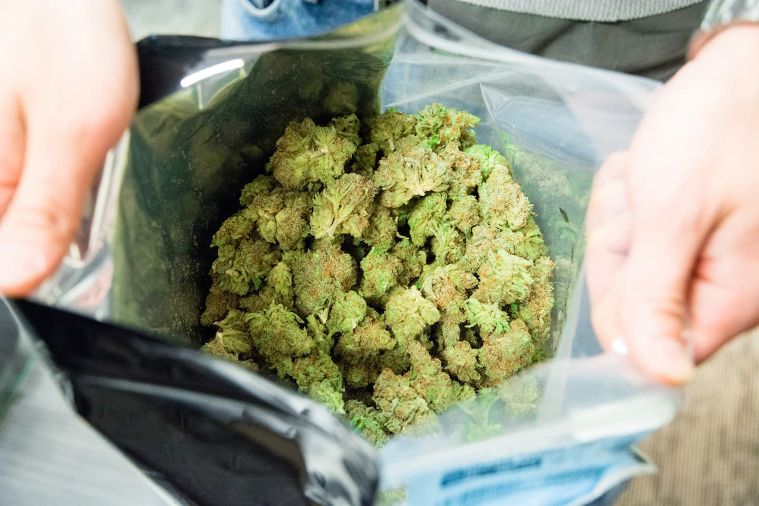 Les fleurs CBD pré-emballée - Green Kartel : Site d'achat de CBD en France, Vente de CBD haut de gamme
