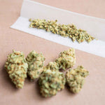Les fleurs de CBD sont-elles légales ? - Green Kartel : Site d'achat de CBD en France, Vente de CBD haut de gamme