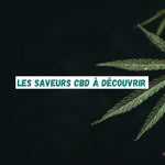 Les saveurs CBD à découvrir : une variété de choix pour les amateurs de CBD - Green Kartel : Site d'achat de CBD en France, Vente de CBD haut de gamme