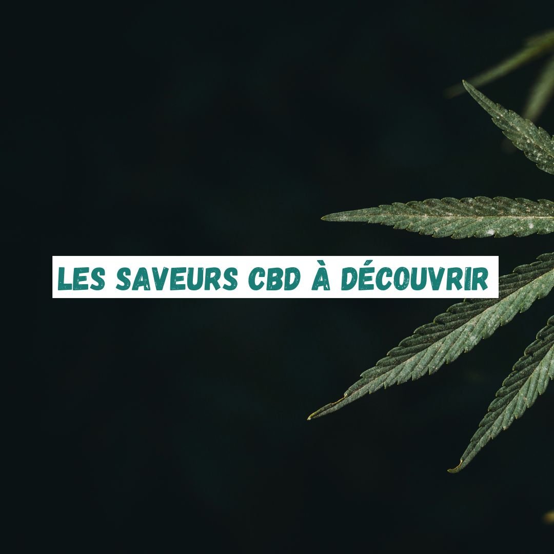 Les saveurs CBD à découvrir : une variété de choix pour les amateurs de CBD - Green Kartel : Site d'achat de CBD en France, Vente de CBD haut de gamme