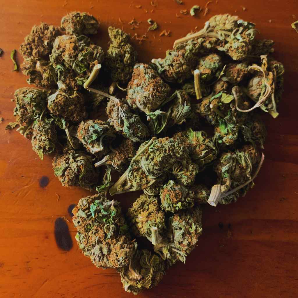 Les variétés de fleurs de H4CBD - Green Kartel : Site d'achat de CBD en France, Vente de CBD haut de gamme