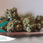 Pourquoi Décarboxyler Votre CBD Est Tant Important ? - Green Kartel : Site d'achat de CBD en France, Vente de CBD haut de gamme