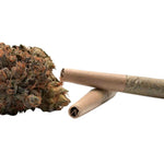 Pourquoi et comment fumer de la résine de CBD ? - Green Kartel : Site d'achat de CBD en France, Vente de CBD haut de gamme