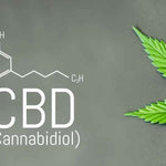 Que trouve-t-on chez Green Kartel, la boutique verte ? - Green Kartel : Site d'achat de CBD en France, Vente de CBD haut de gamme