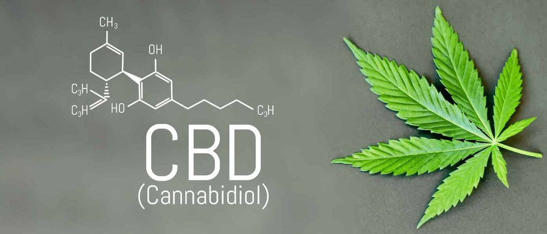 Que trouve-t-on chez Green Kartel, la boutique verte ? - Green Kartel : Site d'achat de CBD en France, Vente de CBD haut de gamme
