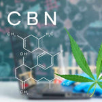 Quelle est la différence entre le CBG et le CBD ? - Green Kartel : Site d'achat de CBD en France, Vente de CBD haut de gamme