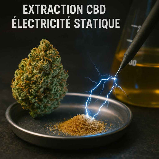 static hash