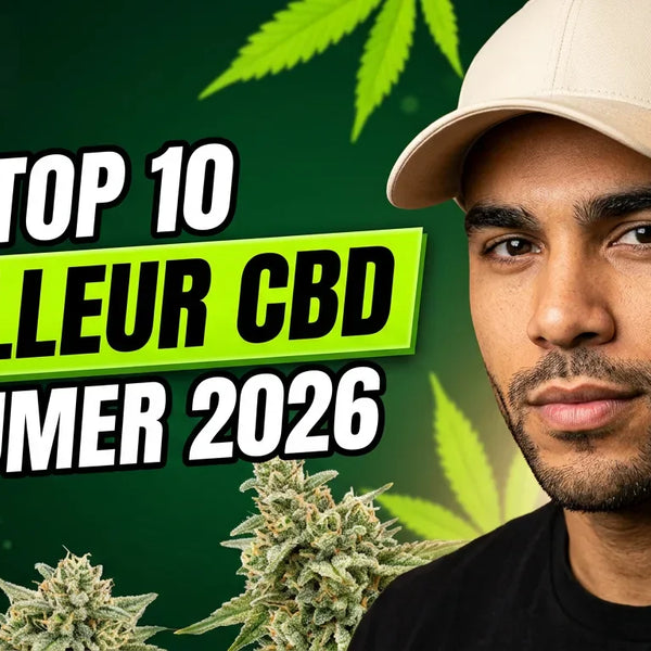 Meilleur CBD à Fumer : Top 10 Fleurs Puissantes 2026 | GK
