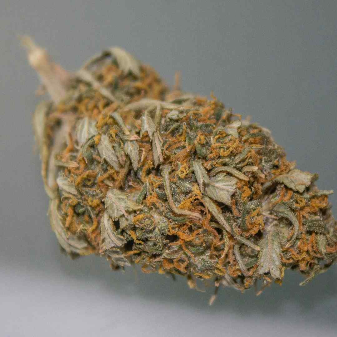 White Widow : Weed, CBD, Effets & Avis - Green Kartel : Site d'achat de CBD en France, Vente de CBD haut de gamme