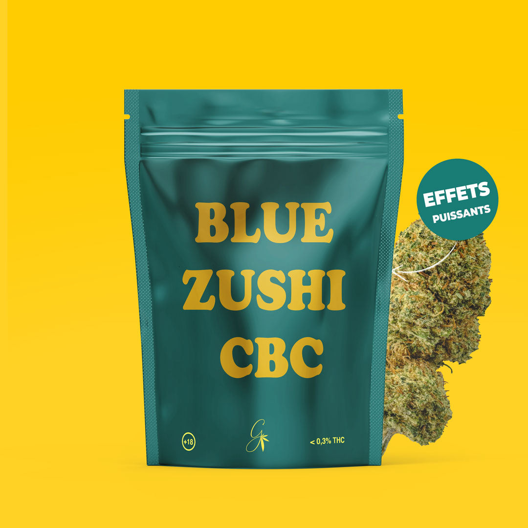 Blue Zushi CBC