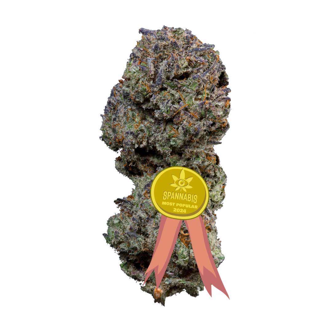 drizzle buds