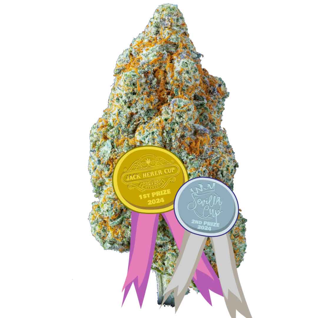 tête de fleur cbd lemon boost