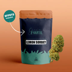 Lemon Sorbet GK Amplifié