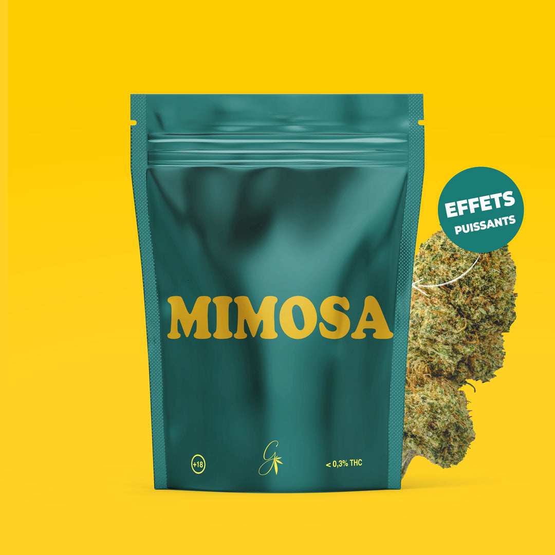 Mimosa CBC