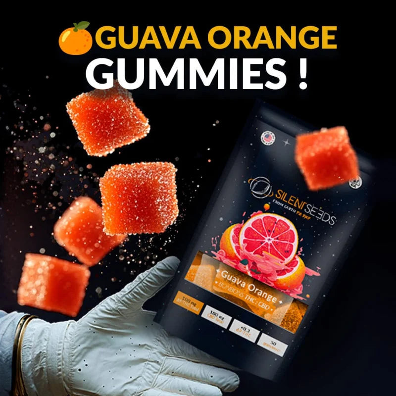 paquet bonbons thc goyave orange silent seed