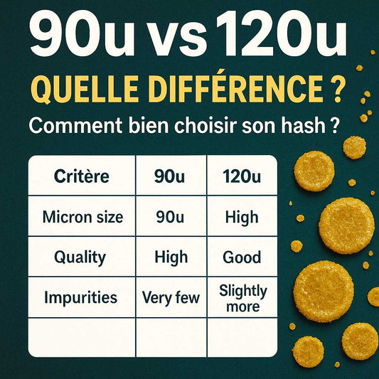 90u ou 120u : Quelle différence ?