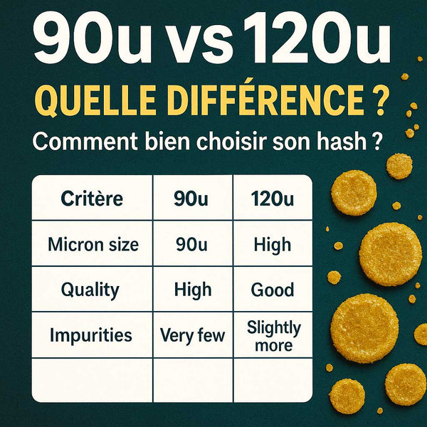 Comparaison visuelle de deux résines CBD filtrées en 90u et 120u