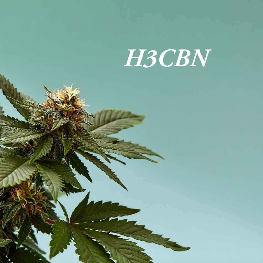 C'est quoi le H3CBN ? Tout ce que vous devez savoir