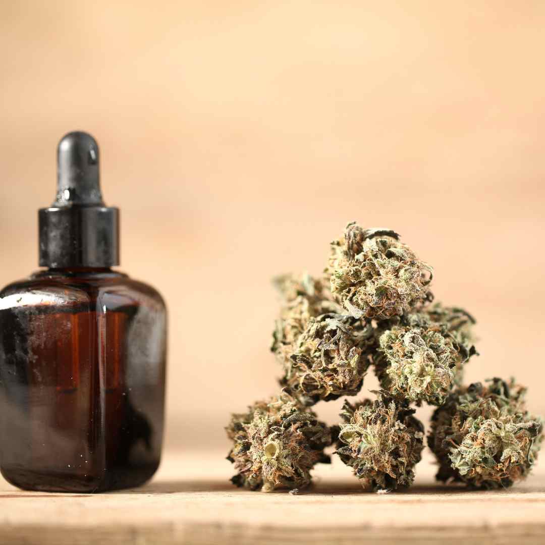 Boutique Cannabidiol : Tout ce que Vous Devez Savoir - Green Kartel  : Site d'achat de CBD en France, Vente de CBD haut de gamme