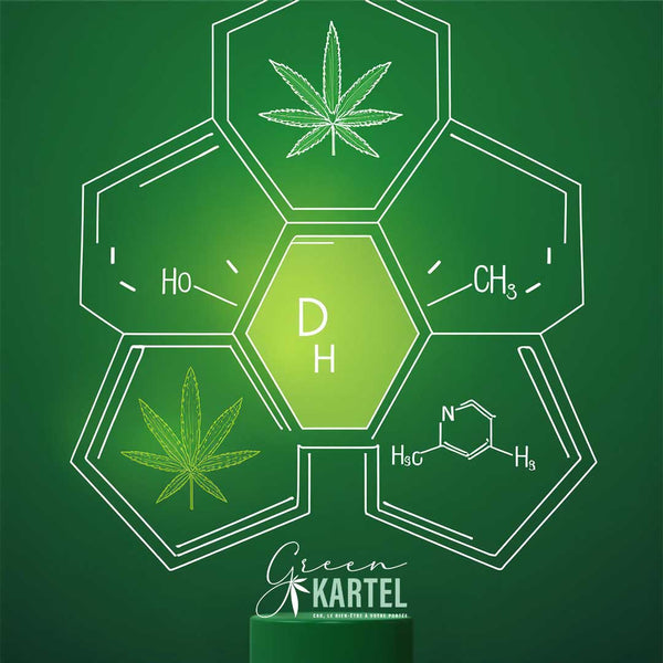 CBD vs THC : différences, effets et légalité 2026
