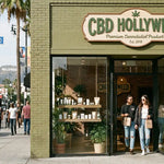 cbd hollyweed