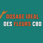 Fleur de CBD : trouver le dosage idéal pour vos attentes