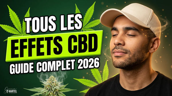 Effets du CBD : guide complet 2026 (corps, cerveau, durée)