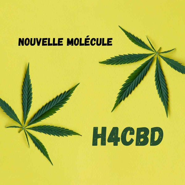 Molécule de H4CBD, version hydrogénée du CBD