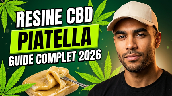Piatella CBD résine affinée à froid — guide Green Kartel · validé Jordan