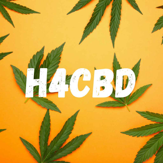 Le H4CBD : Qu'est-ce que c'est et comment le compare-t-on au CBD traditionnel ? - Green Kartel  : Site d'achat de CBD en France, Vente de CBD haut de gamme