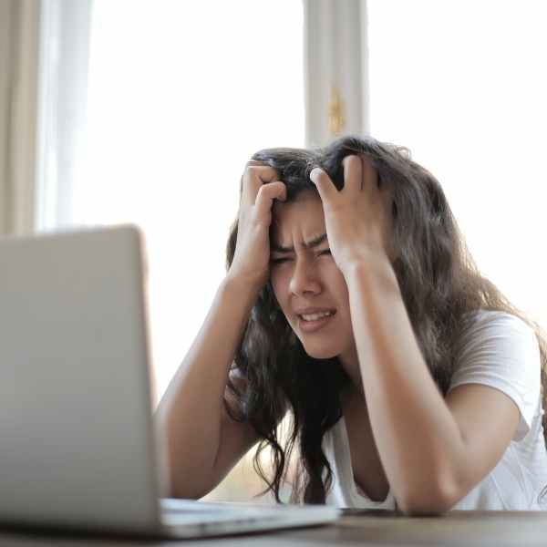 Fleurs CBD contre le stress : guide 2026